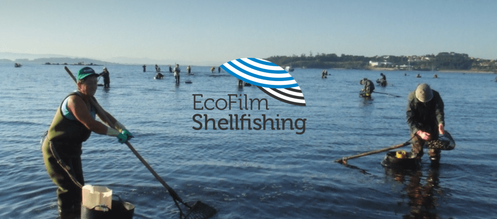 EcoFilm_Shellfishing: Cuarta reunión en Valencia